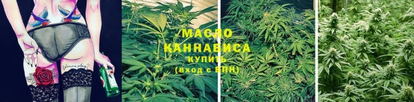 СК Осинники