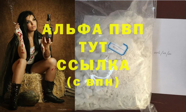 эйфоретик Осташков