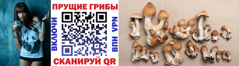 Псилоцибиновые грибы прущие грибы  Киржач 