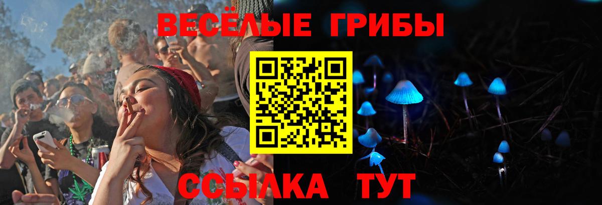 Псилоцибиновые грибы GOLDEN TEACHER  Вход с VPN  Псилоцибиновые грибы Magic Shrooms  Киржач 